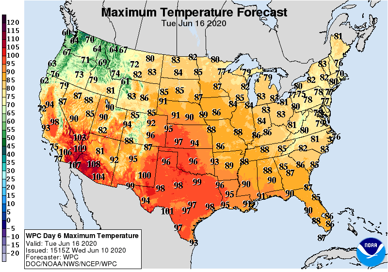 Maximum Temperature Forecast